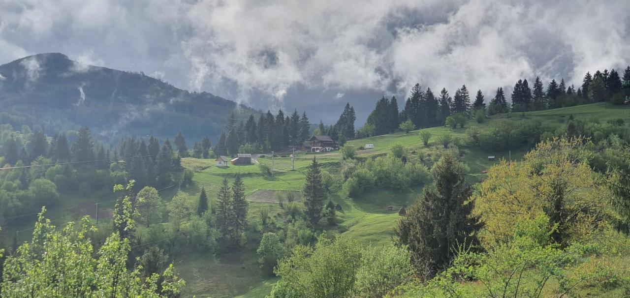 Tulean Cabin Sacel  Bagian luar foto
