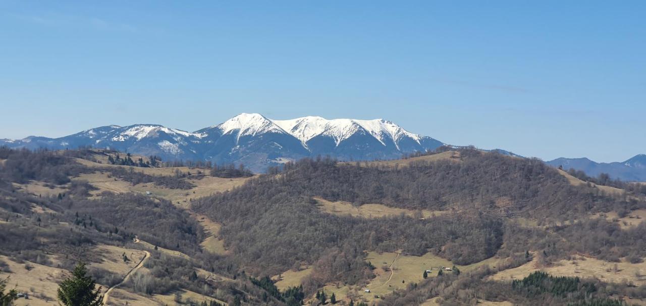 Tulean Cabin Sacel  Bagian luar foto